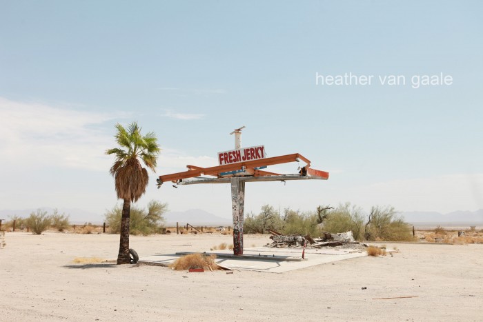 heather-van-gaale-americana